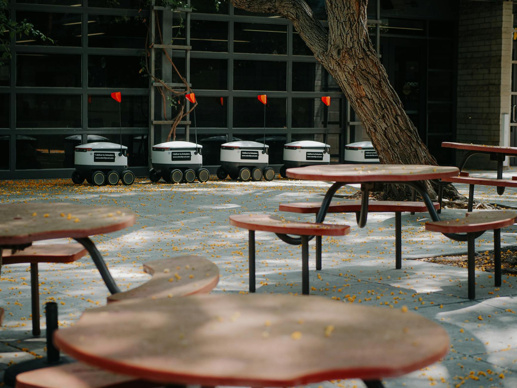 Kostenloses Stock Foto zu ai, autonom, elektrik